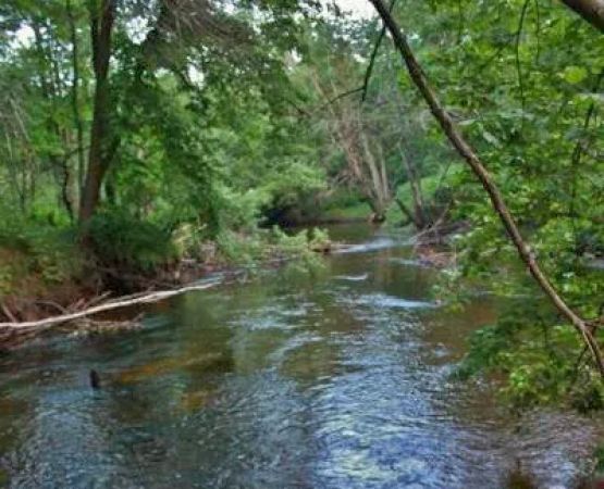 Salmon Falls River RV Resort