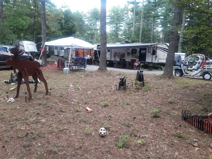 Salmon Falls River RV Resort 1