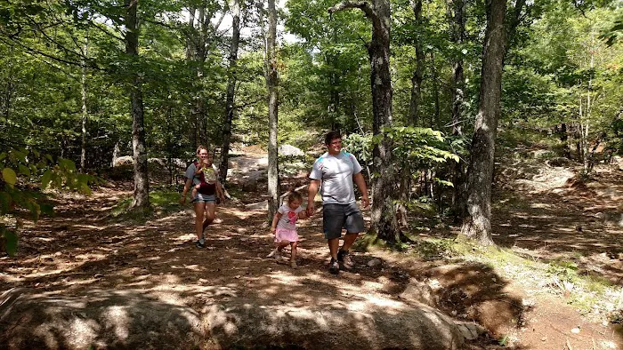 Full Wellness Retreat at Fort Ridge 4