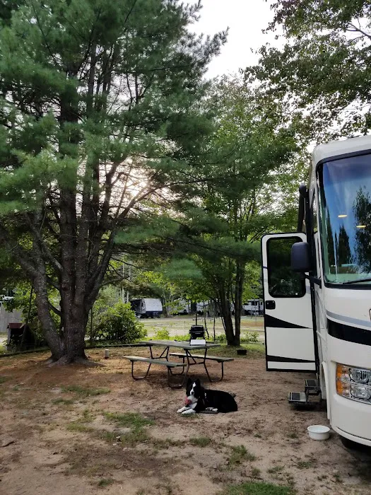 Yellowstone Park Camp Resort 7