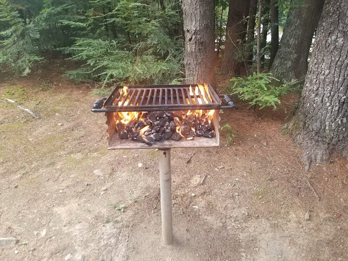 Twin Tamarack Family Camping 9