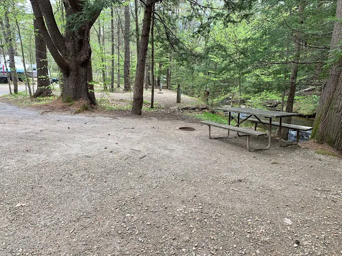 Ames Brook Campground 9