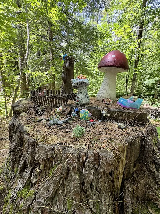 Ames Brook Campground 1