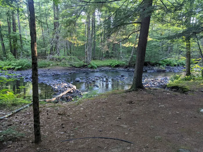Sun River Campground 6