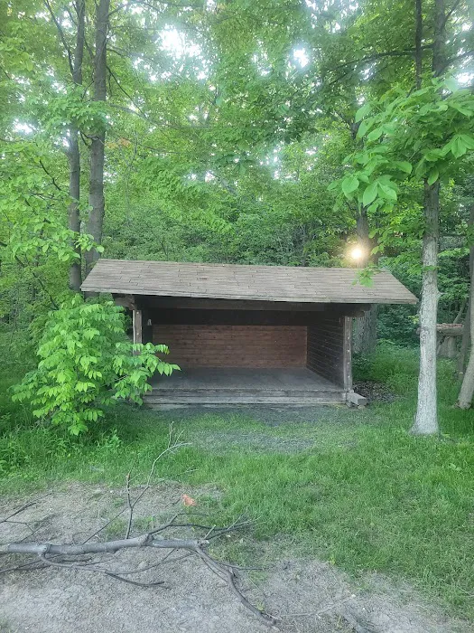Stony Point 7