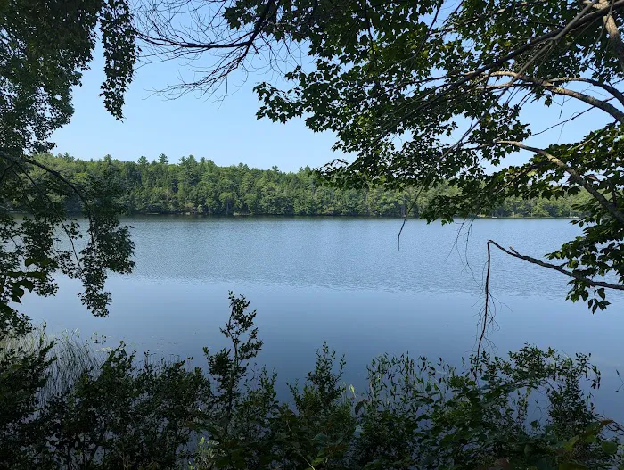 Granger Pond Camping Area 4