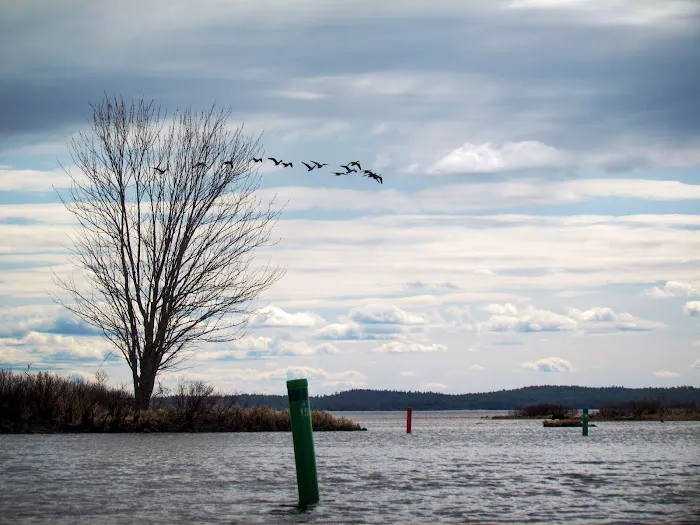 Sebago Lake State Park Campground 8