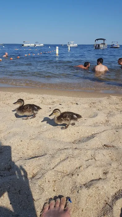 Nason's Beach & Campground 9