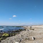 Horseneck Beach State Reservation Campground