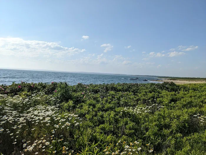 Horseneck Beach State Reservation Campground 8