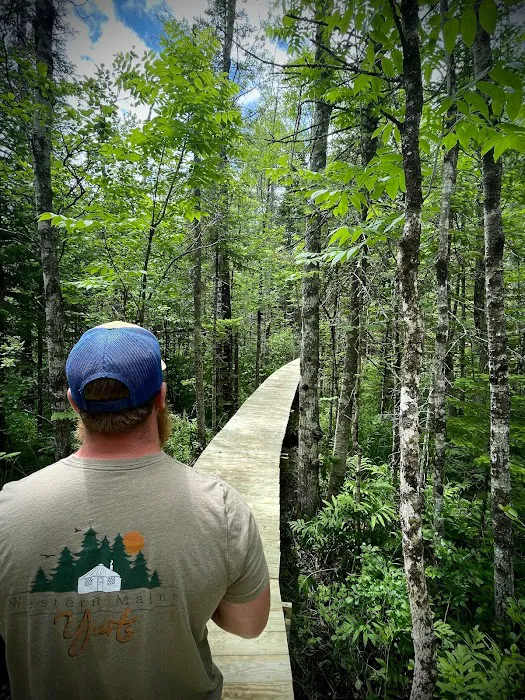 Western Maine Yurts 9
