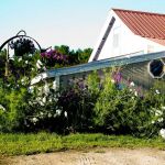 Stony Brook Recreation