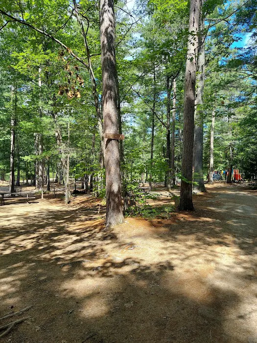 Papoose Pond Family Campground & Cabins 6