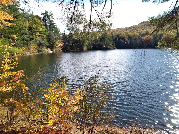 Crocker Pond Campground 5
