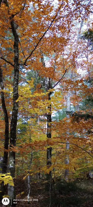 Crocker Pond Campground 8