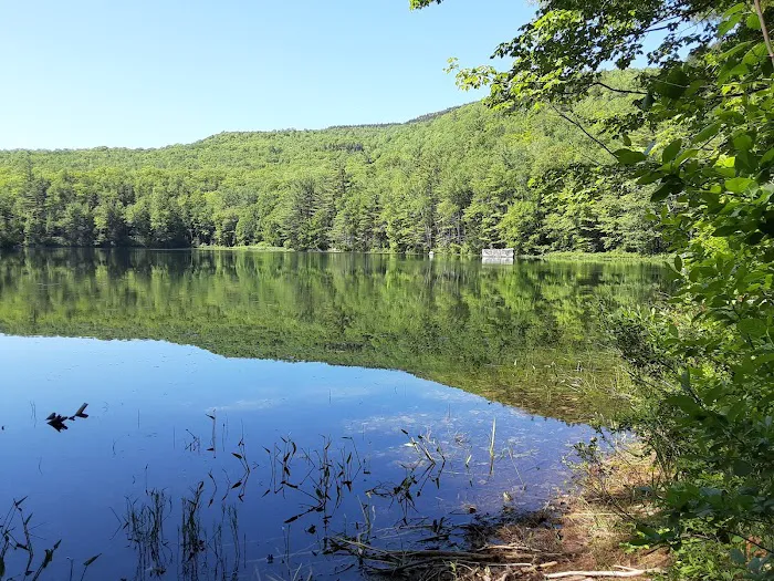 Crocker Pond Campground 1
