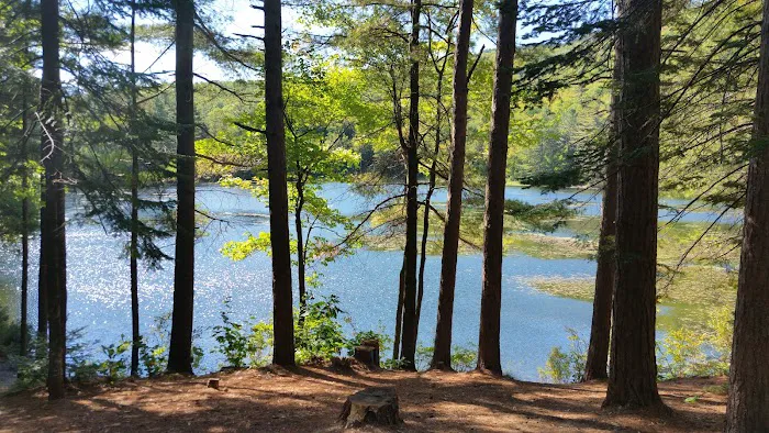 Crocker Pond Campground 6