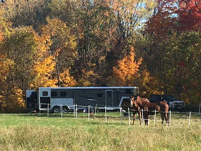 Lone Mountain Riverfront Campground 4