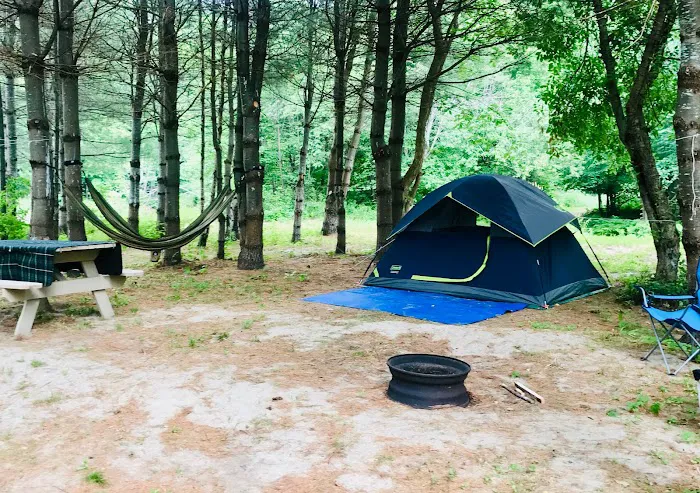 Lone Mountain Riverfront Campground 2