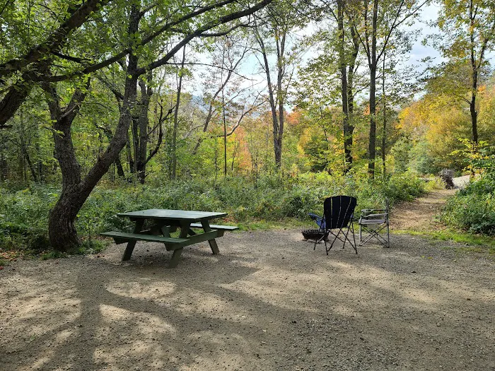 Grafton Notch Campground 4