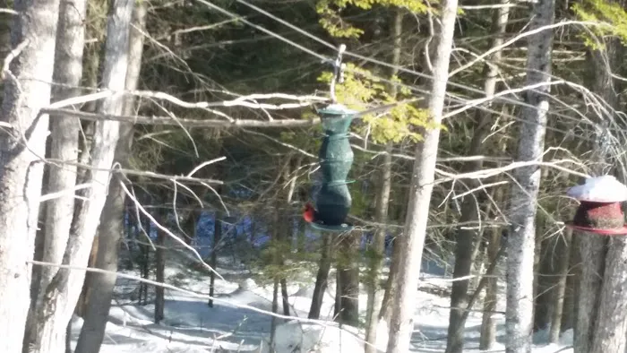 Bear Mountain Village Campground 5