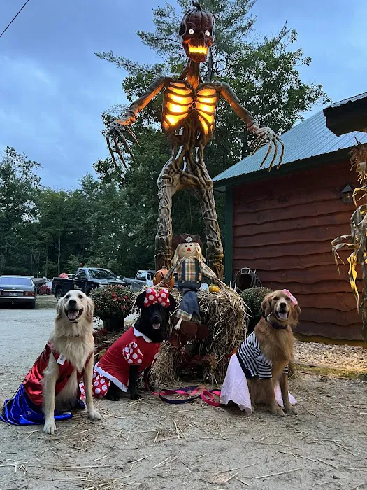 Vacationland Campground 1