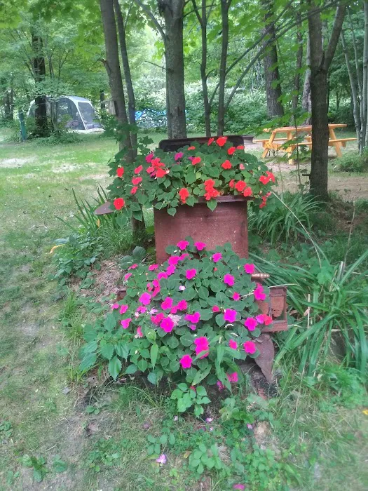 Mountain Pines Campground 3
