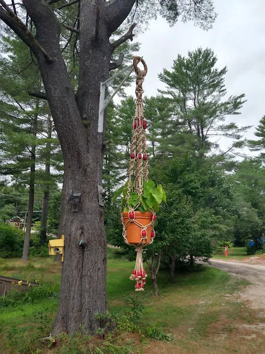 Mountain Pines Campground 5