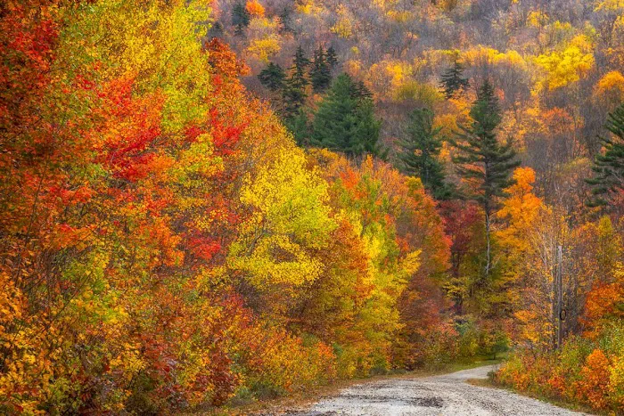 Mt Sunapee State Park Campground 8