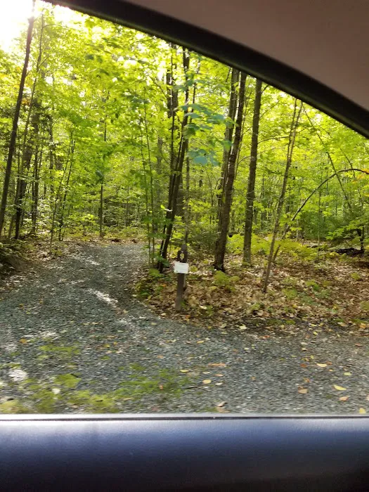 Mt Sunapee State Park Campground 6