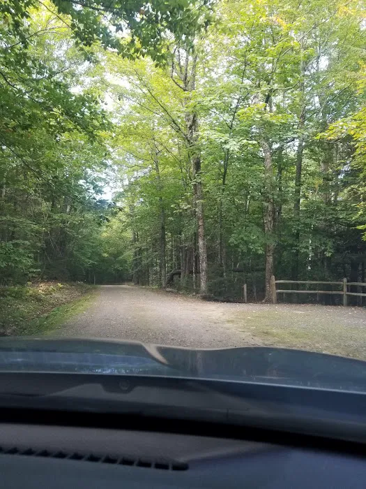 Mt Sunapee State Park Campground 4