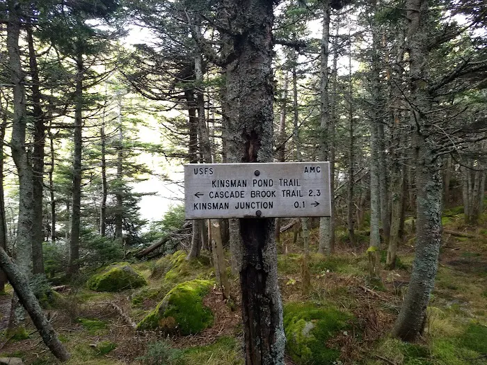 Kinsman Pond Shelter 9