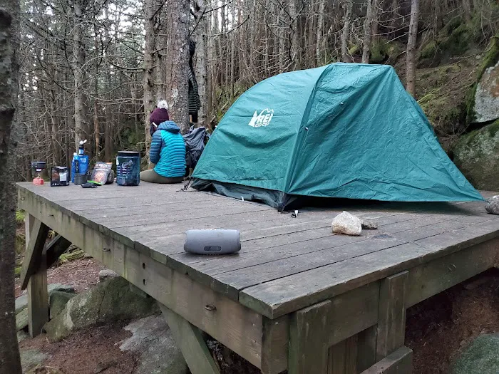 Kinsman Pond Shelter 8