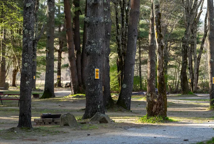 Epsom Valley Campground 7