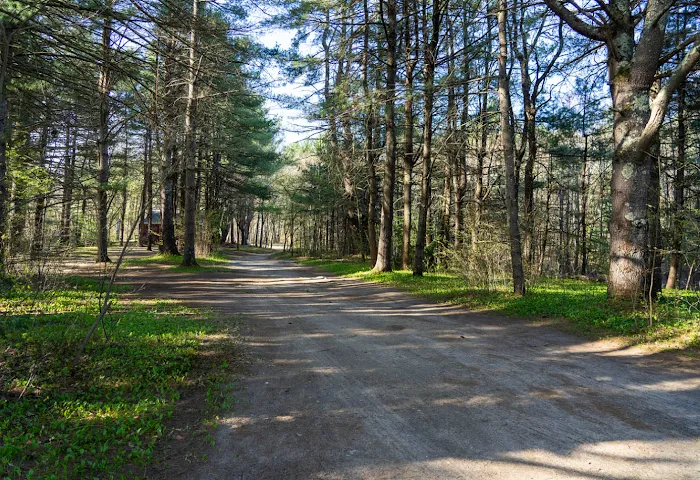 Epsom Valley Campground 2