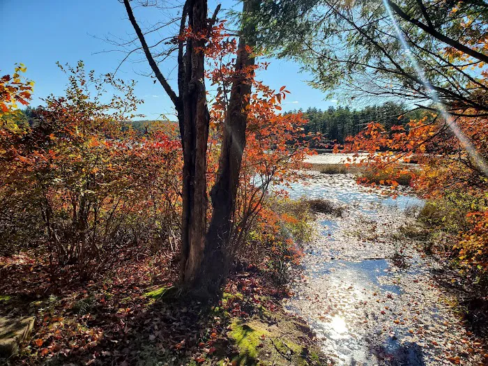 Beaver Pond Campground 2