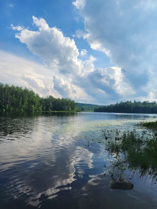 Beaver Pond Campground 1