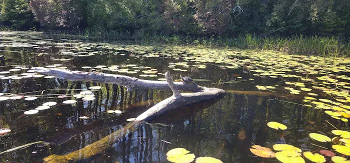 Beaver Pond Campground 0