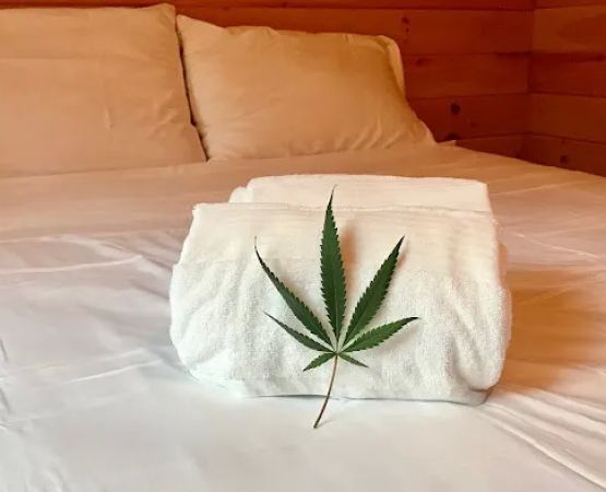 Camp laughing grass