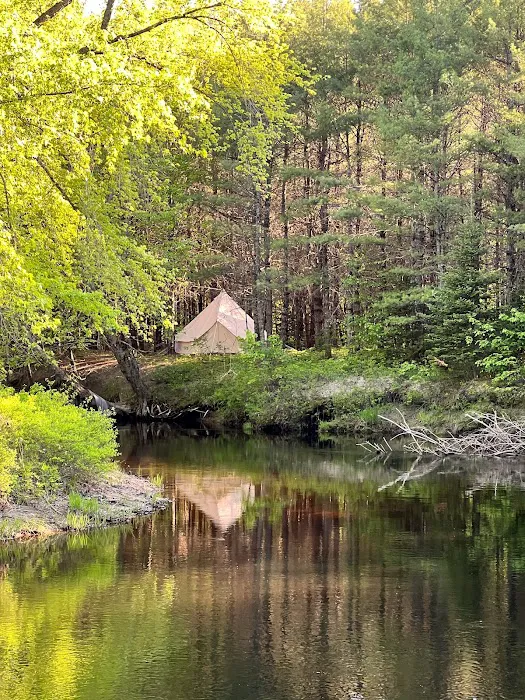Camp laughing grass 1