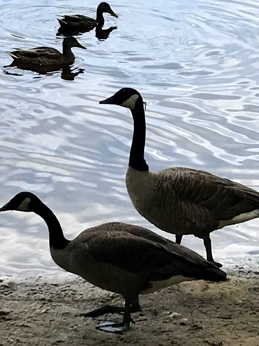 Acres of Wildlife Campground 5