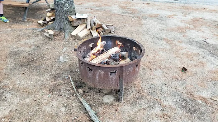 Camp Tall Pines 2