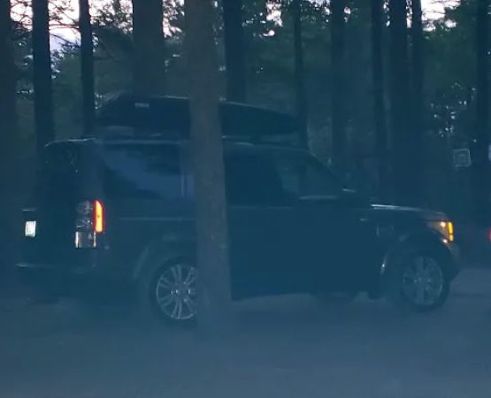 Camp Tall Pines