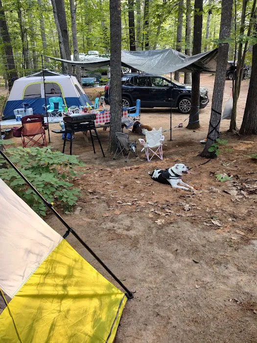 Poland Spring Campground 1
