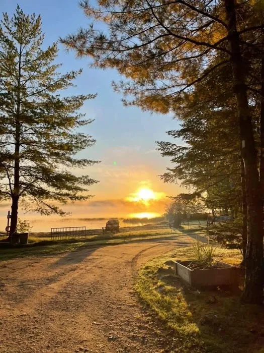 Hemlocks Campground 8