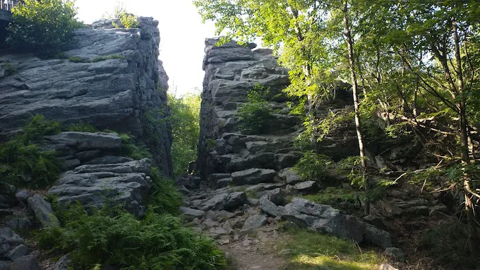 Hickory Run State Park Campground 4