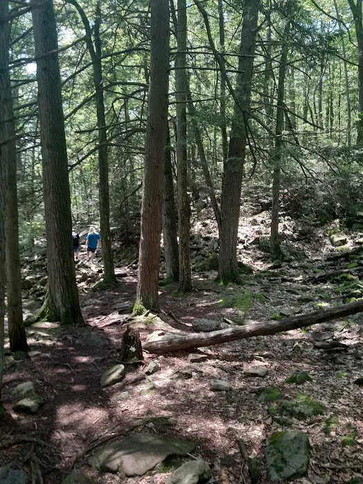 Hickory Run State Park Campground 3