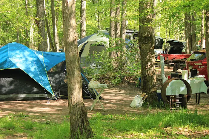 Hickory Run State Park Campground 5