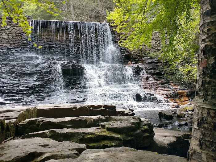 Hickory Run State Park Campground 2