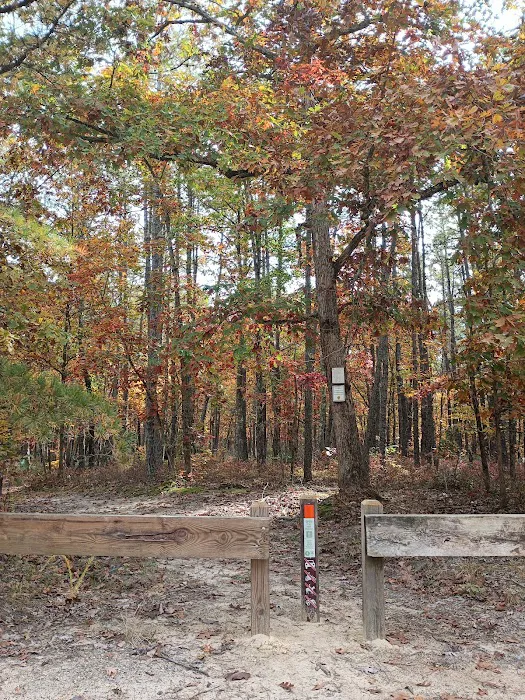 Goshen Pond Camping Area 2